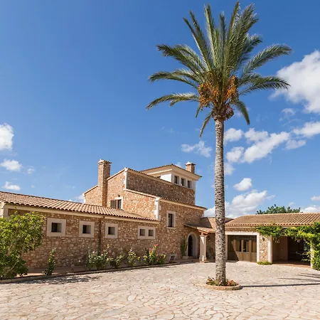 Palleta S'Horta